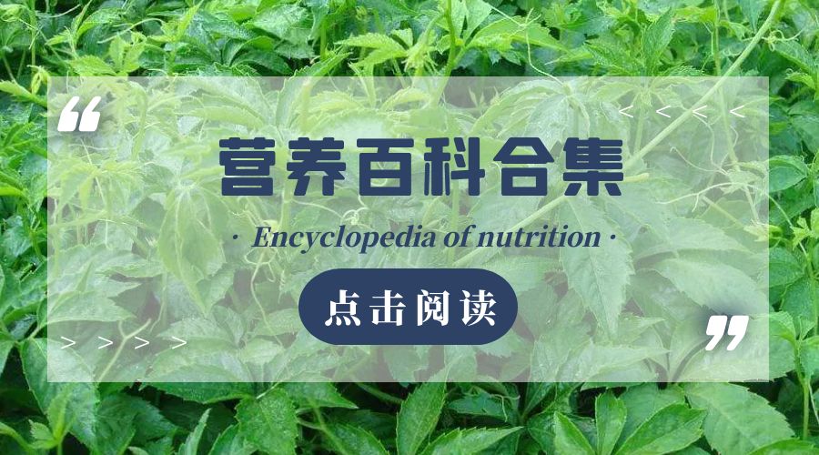 绞股蓝.jpg